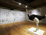 2009년에 제작한 ‘Ostrich’ 실제 타조의 머리 부분을 제외하고 박제한 작품이다. 
