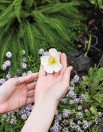 군데군데 작은 꽃들이 그녀의 정원에 포인트가 되어준다.  

